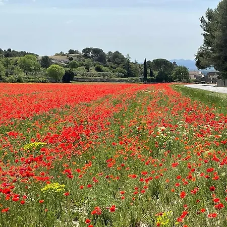 Dependance Cosy Entre Gordes Et Isle Sur La Sorgue Lagnes Exterior photo