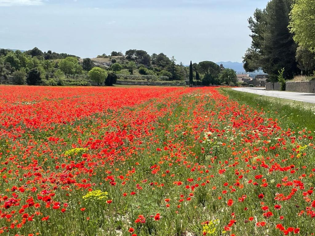 Dependance Cosy Entre Gordes Et Isle Sur La Sorgue *